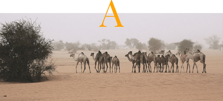 home_story_whatido_large2